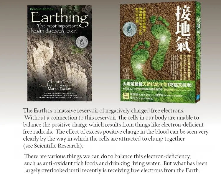 EarthBalance AI Mat