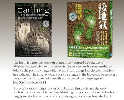 EarthBalance AI Mat
