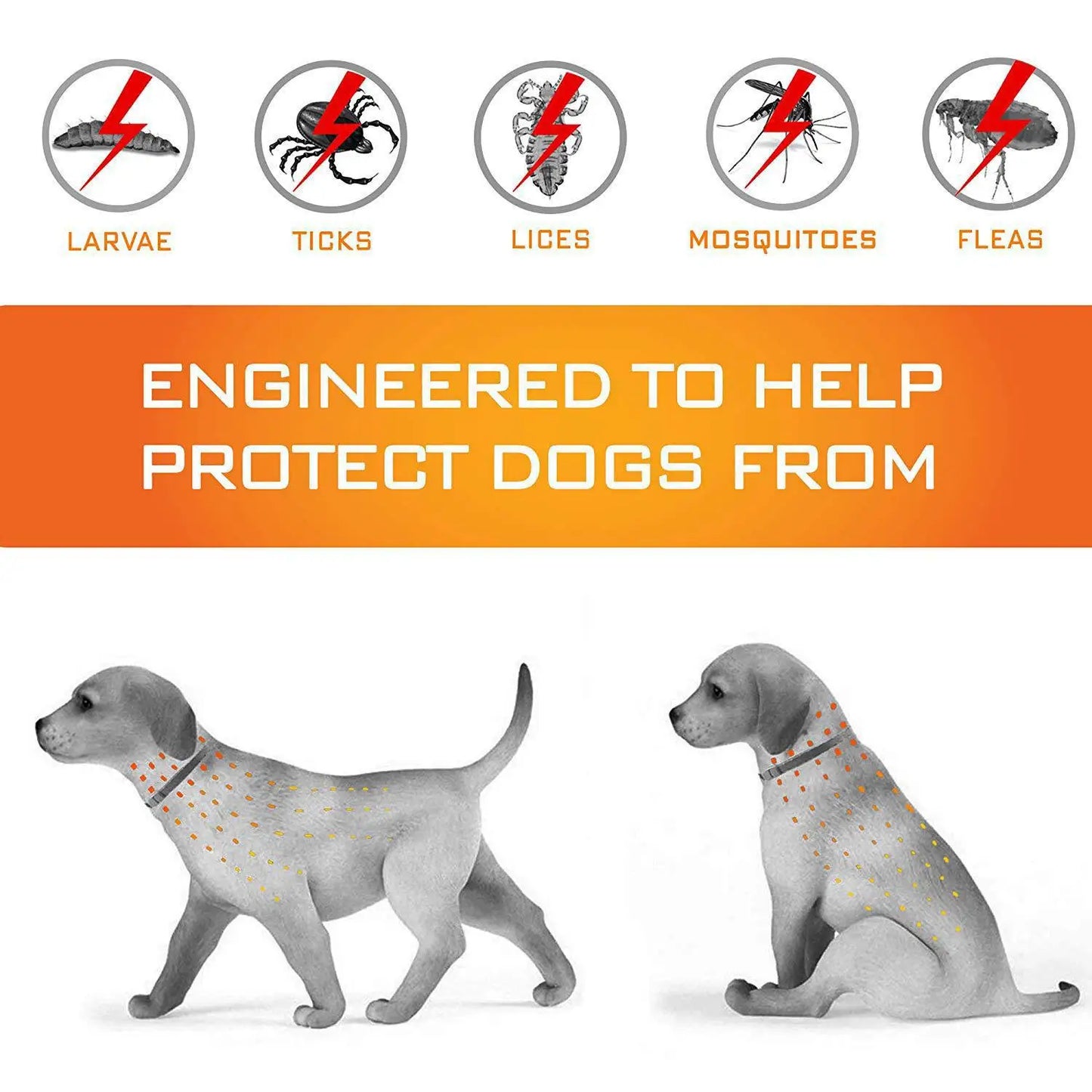 BugFree Pet Collar