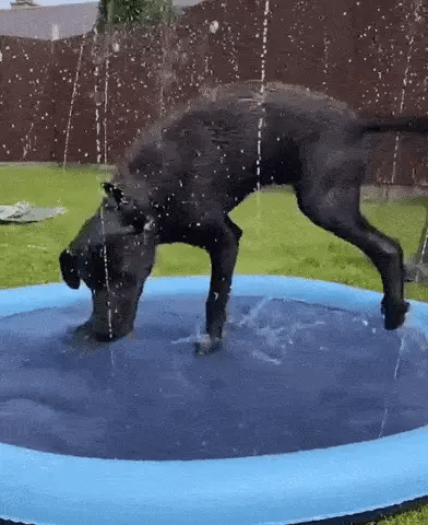 AquaFun Splash Pad