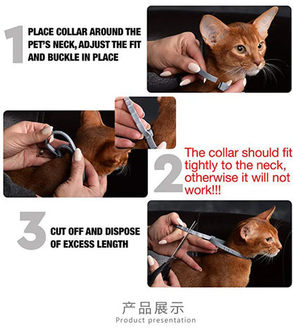 BugFree Pet Collar