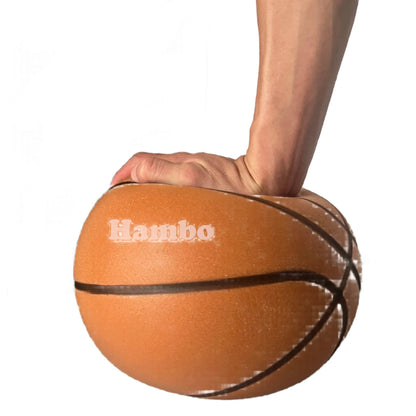 SilentHoop NBA Basketball