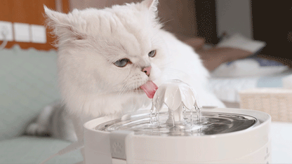 Pet Fountain Filter
