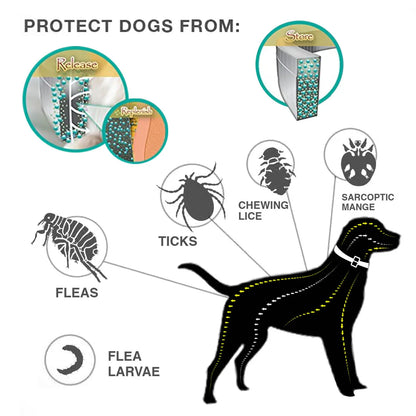 BugFree Pet Collar