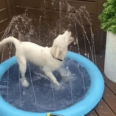 AquaFun Splash Pad